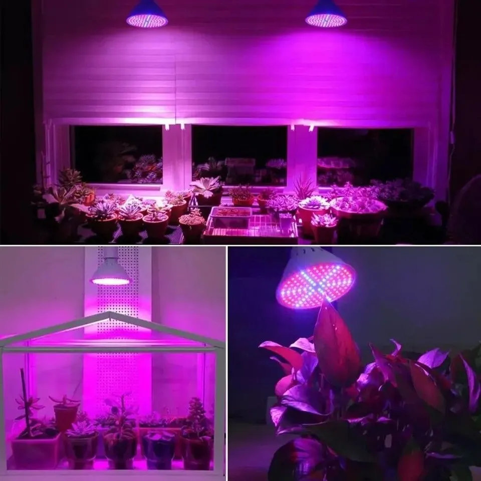 indoor grow light bulb 06(001)